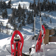 FtoCiaspole SitoCpdnnoNeve2015-home 110x110